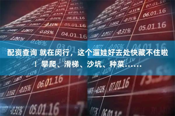 配资查询 就在闵行，这个遛娃好去处快藏不住啦！攀爬、滑梯、沙坑、种菜……